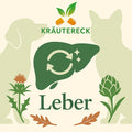 Leber – Kräuterkapseln für Hunde & Katzen