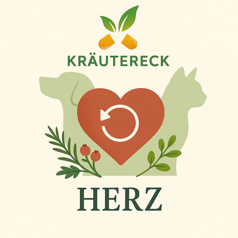 Herz – Kräuterkapseln für Hunde & Katzen