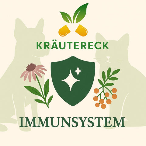 Immunsystem – Kräuterkapseln für Hunde & Katzen