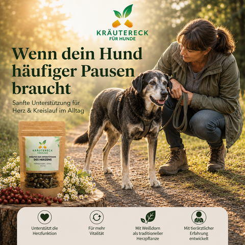 Hund Herz - Kräuterkapseln