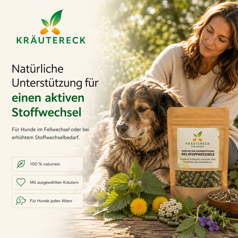 Hund Stoffwechsel - Kräuterkapseln