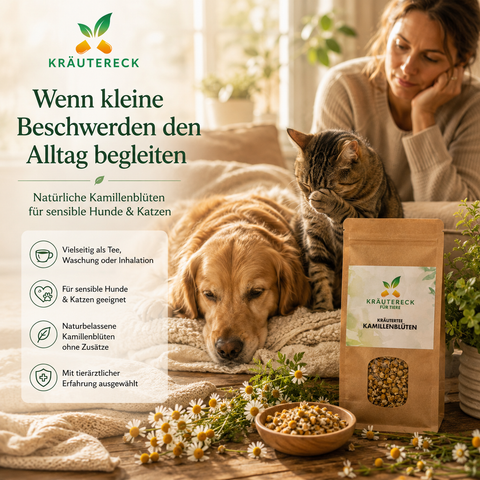 Hund & Katze - Kamillenblüten