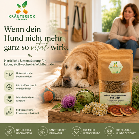 Hund Leber - Kräuterkapseln