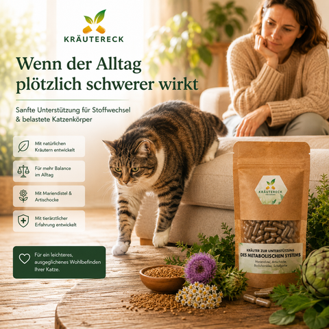 Katze Metabolisches System - Kräuterkapseln