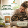 Kräutereck Seelenfrieden Katze Kräuterkapseln für sensible und unruhige Katzen mit entspannter Katze in natürlicher grüner Umgebung.