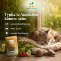 Müde ältere Katze schläft ruhig auf einer Decke neben Kräutereck Herz Kräuterkapseln – typische Anzeichen wie Erschöpfung, mehr Schlaf und weniger Spielfreude.