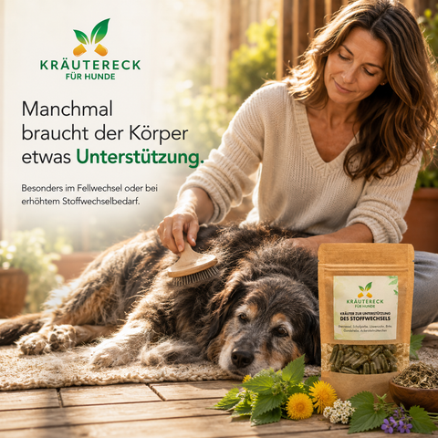 Hund Stoffwechsel - Kräuterkapseln