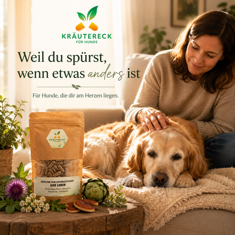 Hund Leber - Kräuterkapseln