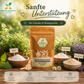 Kräutereck Bindegewebe Kapseln mit MSM, Glucosamin und Chondroitin auf rustikalem Holztisch mit natürlichen Kräutern und warmem Sonnenlicht.