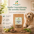 ImmuBalance Kapsel-Packung neben entspanntem Hund mit Hinweis auf Kratzen, Pfotenlecken und sensible Haut.