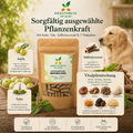 Kräutereck ImmuBalance Packung mit Reishi, Shiitake, Chaga, Amla, Tulsi und Süßholz auf Holztisch arrangiert.