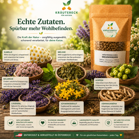 Kräutereck Seelenfrieden Katze mit Baldrian, Melisse, Lavendel und natürlichen Kräutern auf rustikalem Holztisch