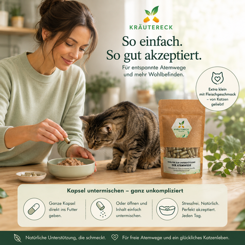 Katze Atemwege - Kräuterkapseln