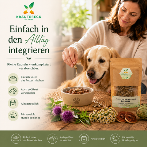 Hund Leber - Kräuterkapseln