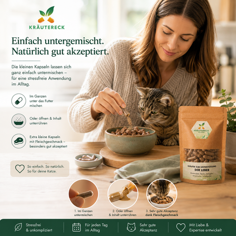Katze Leber - Kräuterkapseln