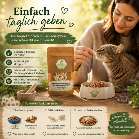 Katzenhalterin gibt Kräutereck Bindegewebe Katze Kapsel mit Feuchtfutter und Leckerlie an ruhige ältere Katze.