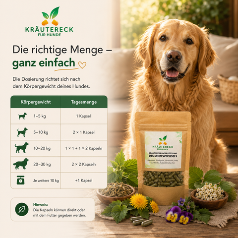 Hund Stoffwechsel - Kräuterkapseln