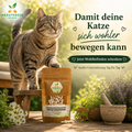 Aktive ältere Katze bewegt sich entspannt neben Kräutereck Bindegewebe Katze Kapseln im warmen natürlichen Sonnenlicht.