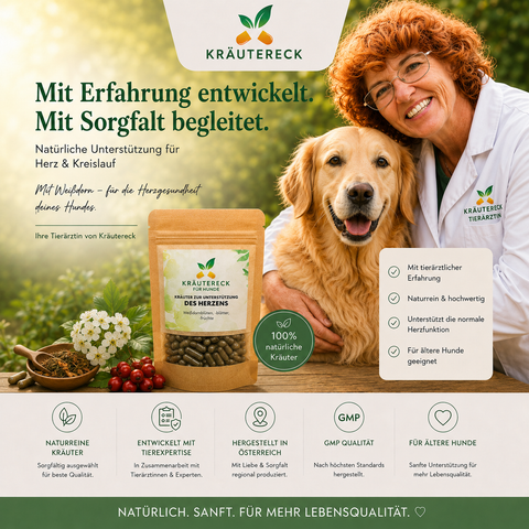 Hund Herz - Kräuterkapseln