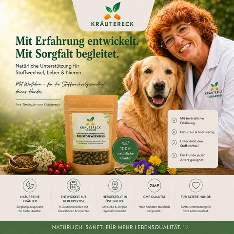 Hund Stoffwechsel - Kräuterkapseln