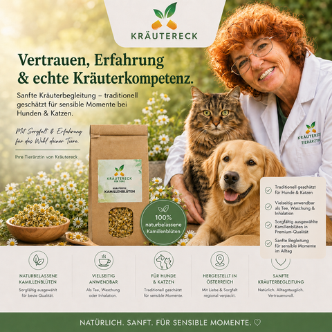 Hund & Katze - Kamillenblüten