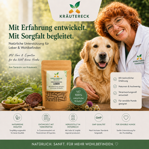 Hund Leber - Kräuterkapseln
