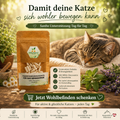 Entspannte ältere Katze im Sonnenlicht neben Kräutereck Bindegewebe Katze Kapseln für tägliche Unterstützung von Gelenken und Beweglichkeit.