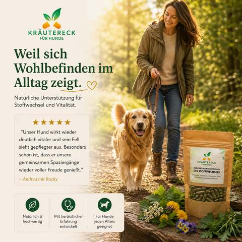Hund Stoffwechsel - Kräuterkapseln