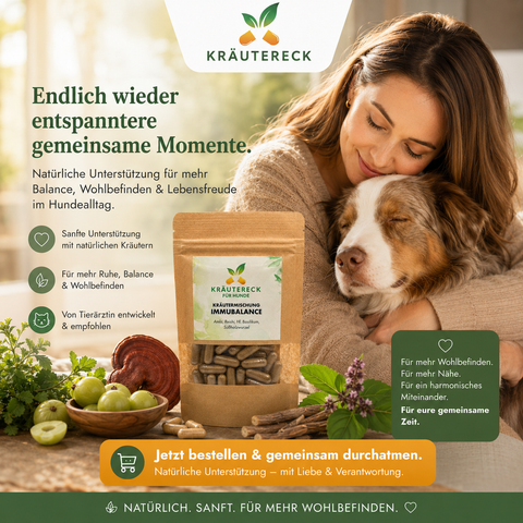 Hund ImmuBalance - Kräuterkapseln