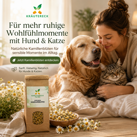 Hund & Katze - Kamillenblüten