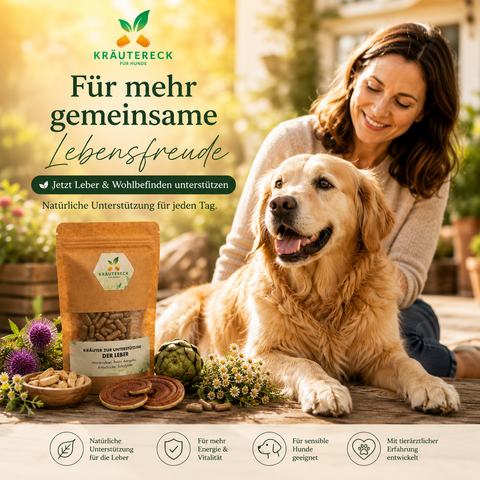Hund Leber - Kräuterkapseln