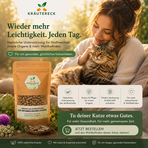 Katze Metabolisches System - Kräuterkapseln