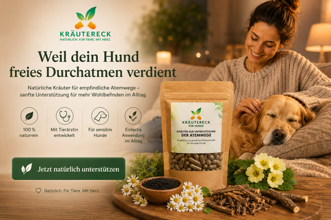 Hund Atemwege - Kräuterkapseln