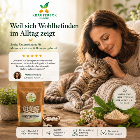Ältere entspannte Katze liegt zufrieden neben ihrer Besitzerin auf einer weichen Decke im warmen Wohnzimmer. Daneben steht das Kräutereck Produkt „Bindegewebe Katze“ mit MSM, Glucosamin und Chondroitin zur natürlichen Unterstützung von Muskeln, Gelenken und Beweglichkeit bei Katzen.