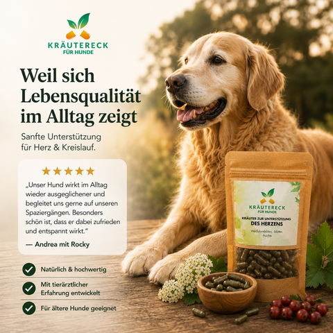 Hund Herz - Kräuterkapseln