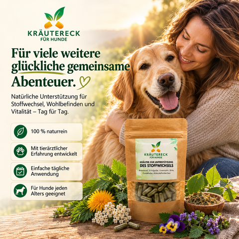 Hund Stoffwechsel - Kräuterkapseln