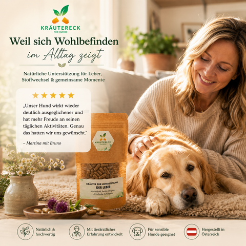 Hund Leber - Kräuterkapseln