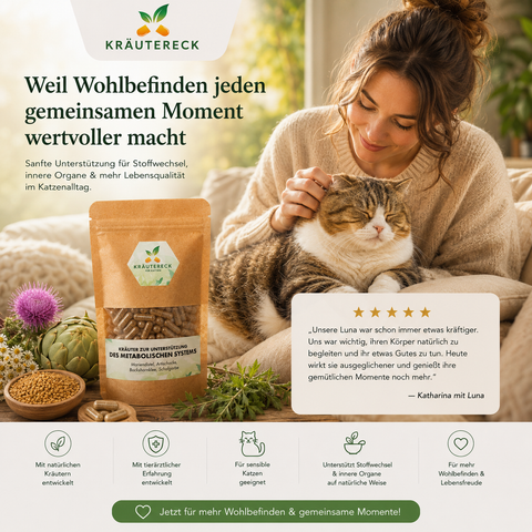Katze Metabolisches System - Kräuterkapseln