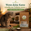 Katze sitzt unruhig vor dem Katzenklo neben dem Produkt Blase Katze von Kräutereck.