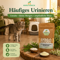 Unruhige Katze mit häufigem Toilettengang neben Kräutereck Blase Katze Produkt.