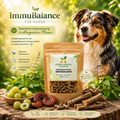 Kräutereck ImmuBalance Kapseln mit Vitalpilzen und Kräutern auf rustikalem Holztisch vor entspanntem Hund.