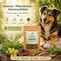 ImmuBalance Kapsel-Packung neben entspanntem Hund mit Hinweis auf Kratzen, Pfotenlecken und sensible Haut.