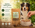 ImmuBalance Packung neben Futternapf und Kapseln zur einfachen täglichen Anwendung für Hunde.