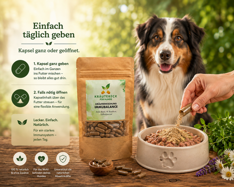 ImmuBalance Packung neben Futternapf und Kapseln zur einfachen täglichen Anwendung für Hunde.