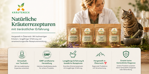 Premium Trust-Banner von Kräutereck mit natürlicher Tierärztin und entspannter Katze in warmer Naturatmosphäre. Im Vordergrund hochwertige Kräutereck Kräuterkapseln wie Seelenfrieden, Schilddrüse, Leber und Atemwege auf rustikalem Holztisch mit frischen Kräutern. Vertrauenselemente wie GMP-zertifizierte Herstellung, entwickelt von Tierärztin und hergestellt in Österreich.