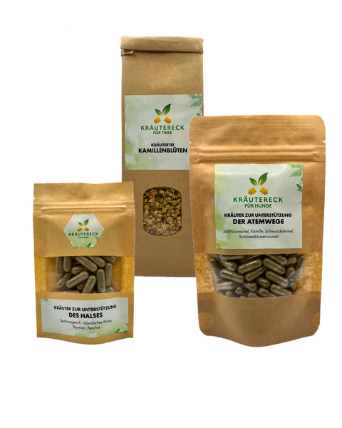 Herbst-Bundle Hund – Starke Atemwege & sanfte Begleiter (3er-Set)