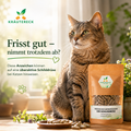 Ältere Katze sitzt ruhig auf einem Holztisch neben Kräutereck Kräuterkapseln zur Unterstützung der Schilddrüse für Katzen in heller natürlicher Umgebung.