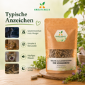 Infografik zu typischen Anzeichen einer Schilddrüsenüberfunktion bei Katzen mit Produktbild von Kräutereck Schilddrüsen Kräuterkapseln.
