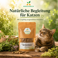 Kräutereck Kräuterkapseln für Katzen mit Wolfstrapp und Herzgespann auf Holztisch neben entspannter Katze und frischen Kräutern.