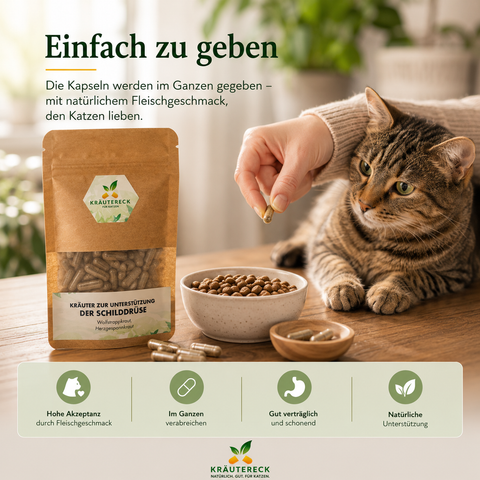 Katze erhält Kräuterkapsel mit Fleischgeschmack neben Kräutereck Schilddrüsen Produkt in gemütlicher natürlicher Umgebung.